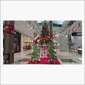 早くもクリスマスツリー