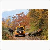 2020紅葉狩り⑥-4 林道 ...