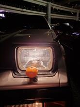 久々に大黒夜遊び