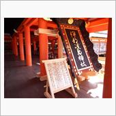 宮島紅葉