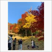 紅葉をもとめて