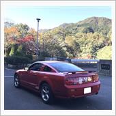 紅葉を見に行く