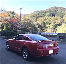 紅葉を見に行く