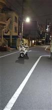 #世田谷区 よるの9時台の道の真ん中に(@_@)