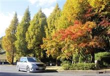 公園と言えば～？