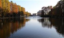 別所沼公園散歩