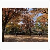 来週から、紅葉ﾃｰﾏで「ぶら ...