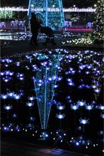 イルミネーション
