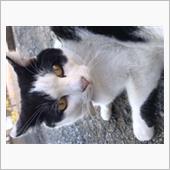 おはようございます😃