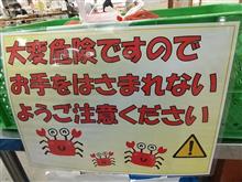 本当に凶暴なのは誰か 本当に凶暴なのは誰か