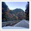 西の安居渓谷VS東の別府峡！