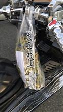 最近わ釣りよかツーリング2( ;ﾟ∀ﾟ)ｱﾗﾗ…。