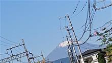 今日の朝散歩(2020年11月14日)