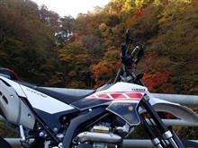 晩秋の山