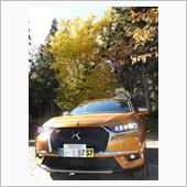 【DS7】会津美里町 法用寺 ...