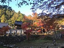 紅葉狩り（3年ぶりに佛通寺へ）