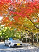 本日の鈴スカ
