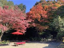 紅葉ドライブ〜十可苑