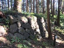 【森田城&amp;烏山城】紅葉狩り城めぐり