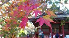 談山神社に紅葉狩り→からの鬼滅 談山神社に紅葉狩り→からの鬼滅