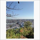 本日は
