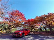TypeＲも紅葉中〜
