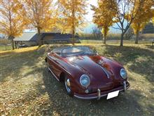 Autumn Leaves　紅葉