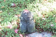 紅葉の京都へ弾丸トラベル