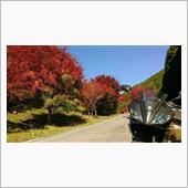 くるみ谷もみじ公園