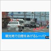 北海道の観光名所で活躍するレ ...