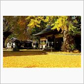 紅葉狩りへ♪