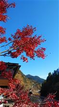 紅葉ツーリング