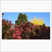 2020年　紅葉ライド🍁