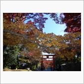 紅葉の日吉大社　~　琵琶湖大橋
