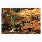 丹波篠山・紅葉（洞光寺・王地 ...