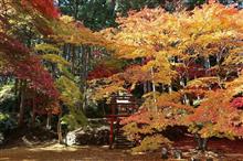 丹波篠山・紅葉（洞光寺・王地山公園）