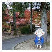 一休寺