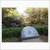 東高根森林公園