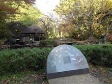東高根森林公園