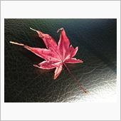 第三回紅葉ツーリング〜無事帰 ...
