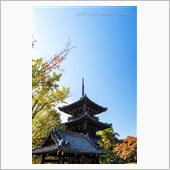 京都 気ままなそぞろ歩き D ...