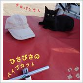 パイプカット。