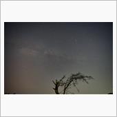 11月前半の星撮り ---  ...