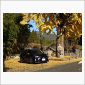紅葉の見頃はまだ？