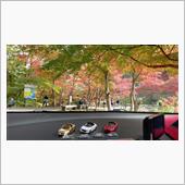 河内渓谷で紅葉🍁ツーショット