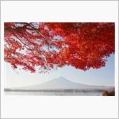 秋の平日、紅葉秋色な富士山