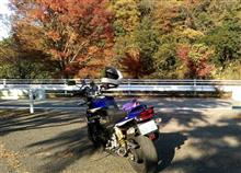 丹沢湖・紅葉狩りツーリング♪