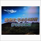 AM１時半寝る！８時出社…