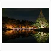 昭和記念公園のライトアップ（ ...