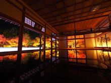 床もみじ🍁